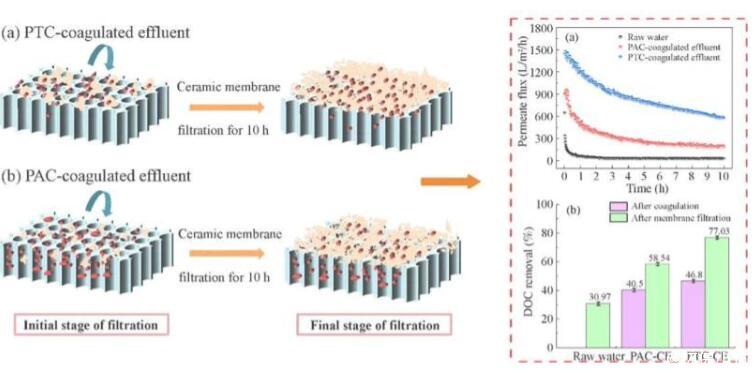 1663124456105167.jpg 7.jpg