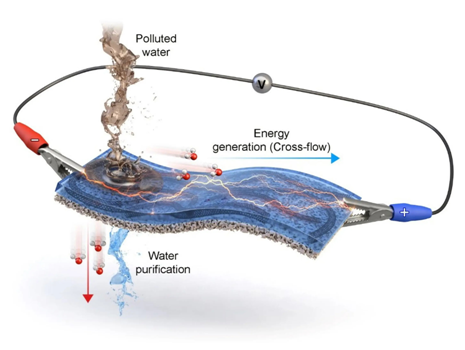 1678677541928215.png image.png