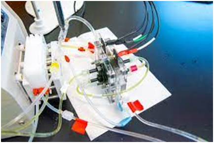 1688435053682888.png image.png