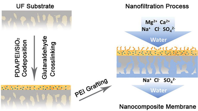 “基于可(kě)控表界面工(gōng)程的(de)聚合物(wù)納濾膜”獲系列新進展