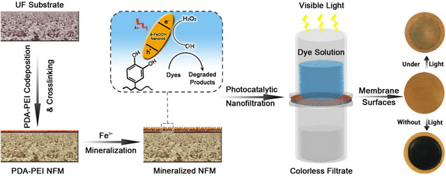 “基于可(kě)控表界面工(gōng)程的(de)聚合物(wù)納濾膜”獲系列新進展